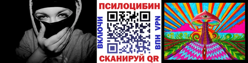 Псилоцибиновые грибы Psilocybe  kraken ССЫЛКА  Славгород 