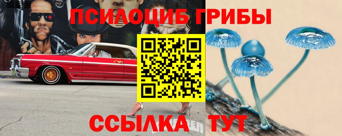 Галлюциногенные грибы ЛСД  Галлюциногенные грибы ЛСД  Славгород 